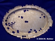 U-869-Platter